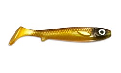 Picture of Flatnose Shad - Golddigger