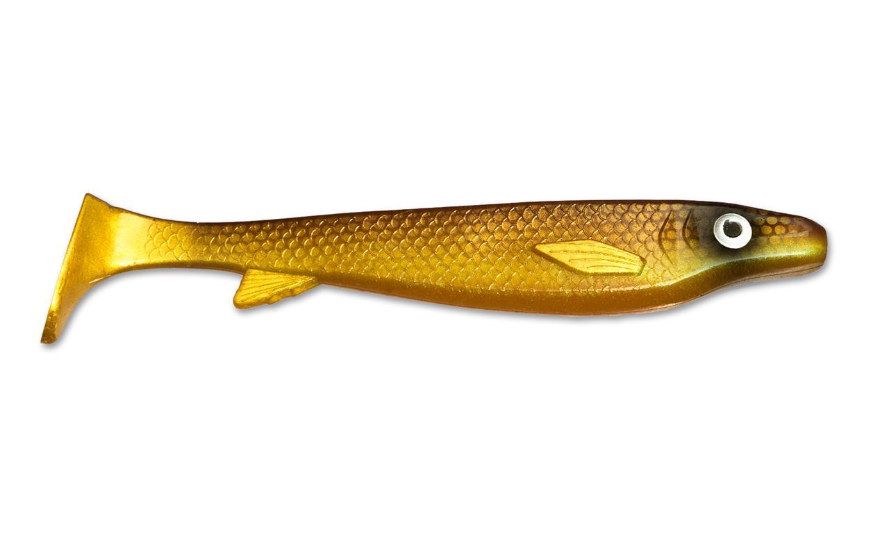 Picture of Fatnose Shad - Golddigger