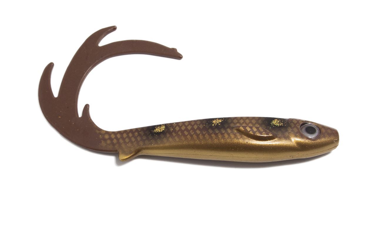 Picture of Flatnose Dragon - Spotted Bullhead