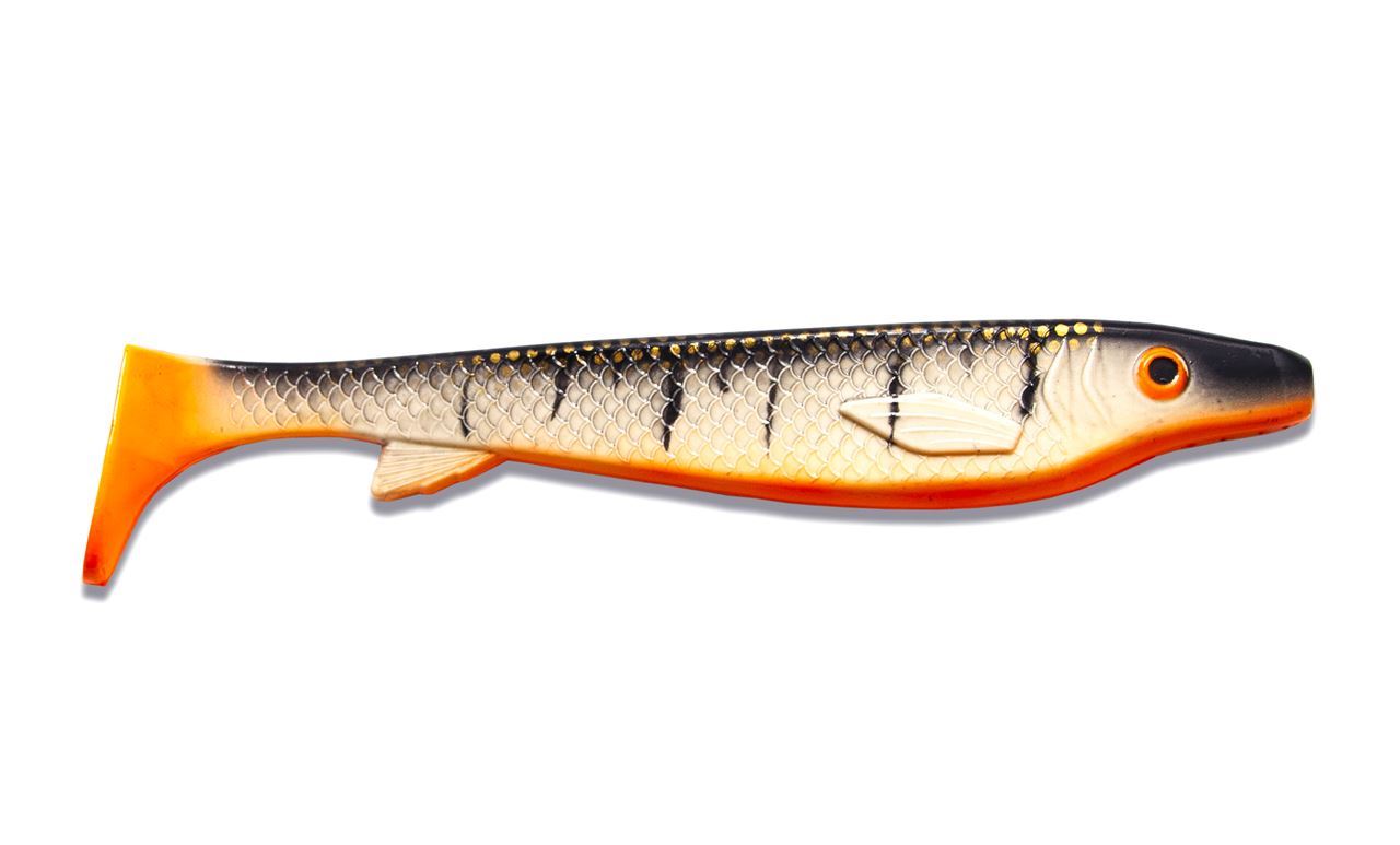 Picture of Fatnose Shad - Search and Destroy