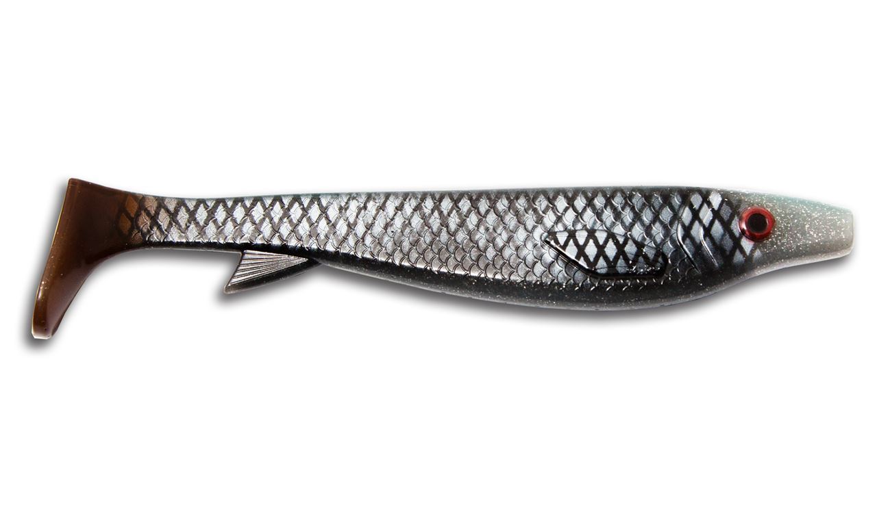 Picture of Fatnose Shad - Real Roach