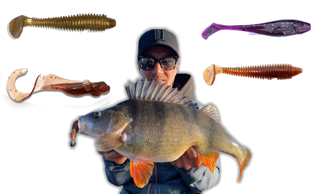 Picture of Big perch softbaits collection!