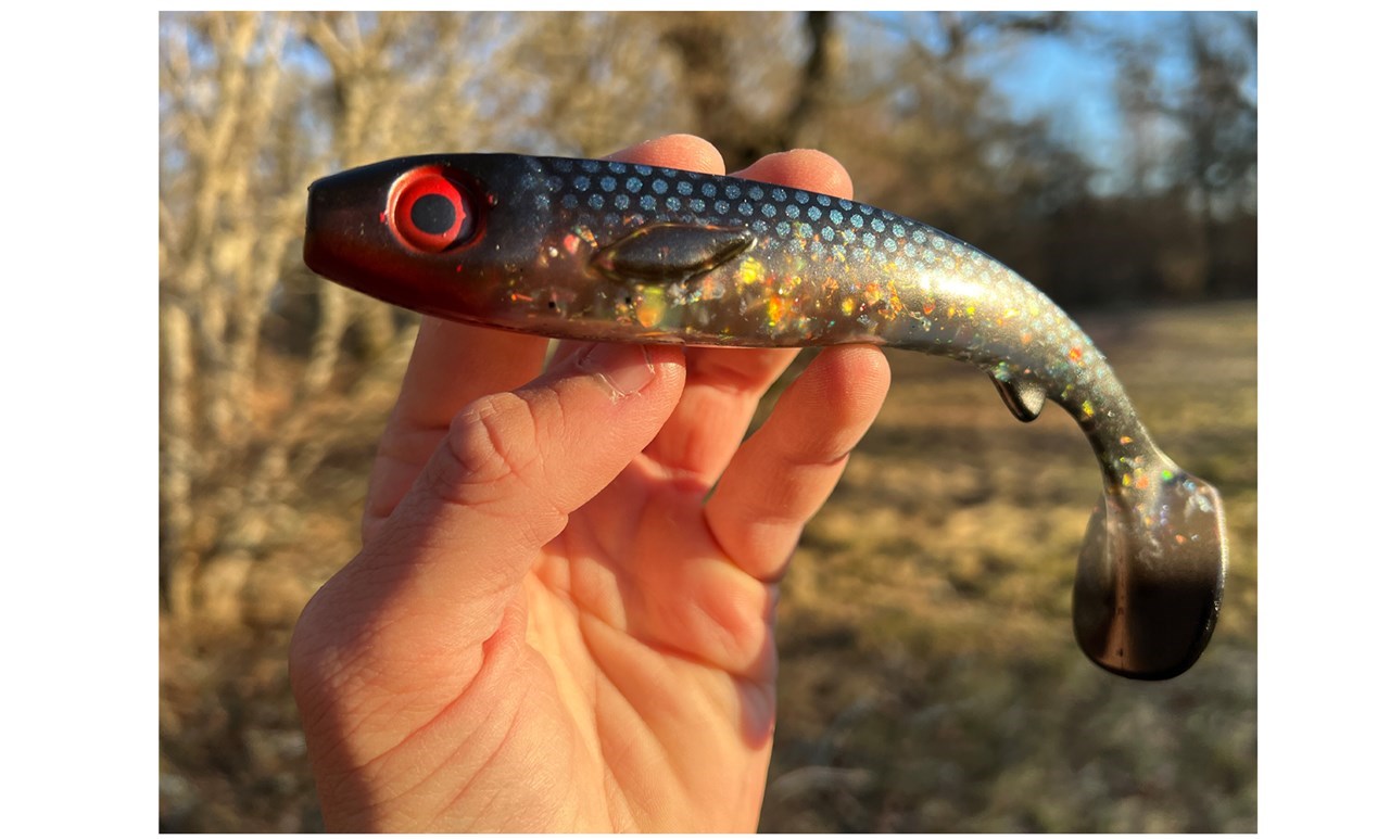 Picture of Flatnose Shad - New Moon