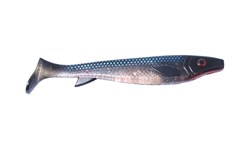 Picture of Fatnose Shad - New Moon