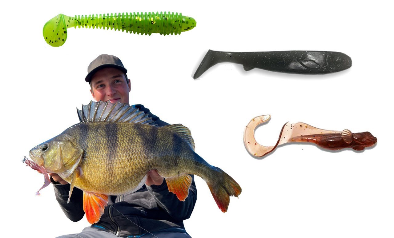 Picture of Great Perch Bundle!