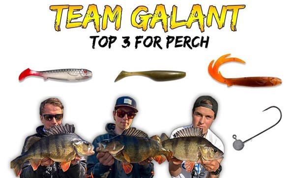 Picture of TEAM GALANT - Perch bundle