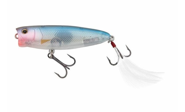 Picture of Nories Tough Bug 6,5cm Popper