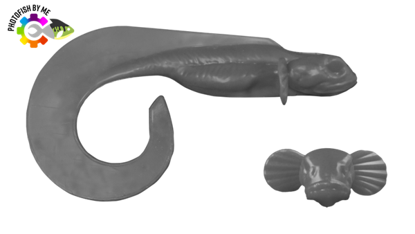 Bild på Photofish Nettel Juvenile 19cm,25gr, 2-pack
