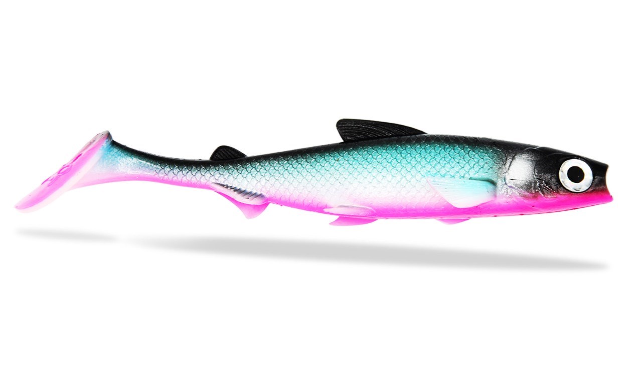 Picture of Renky Shad 22cm